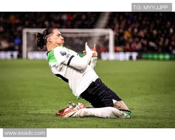 努涅斯在新赛季的崛起之路与球队未来发展的关键角色分析