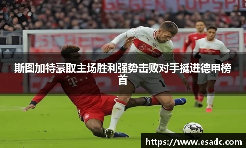 OB电竞平台